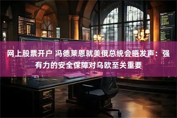 网上股票开户 冯德莱恩就美俄总统会晤发声：强有力的安全保障对乌欧至关重要